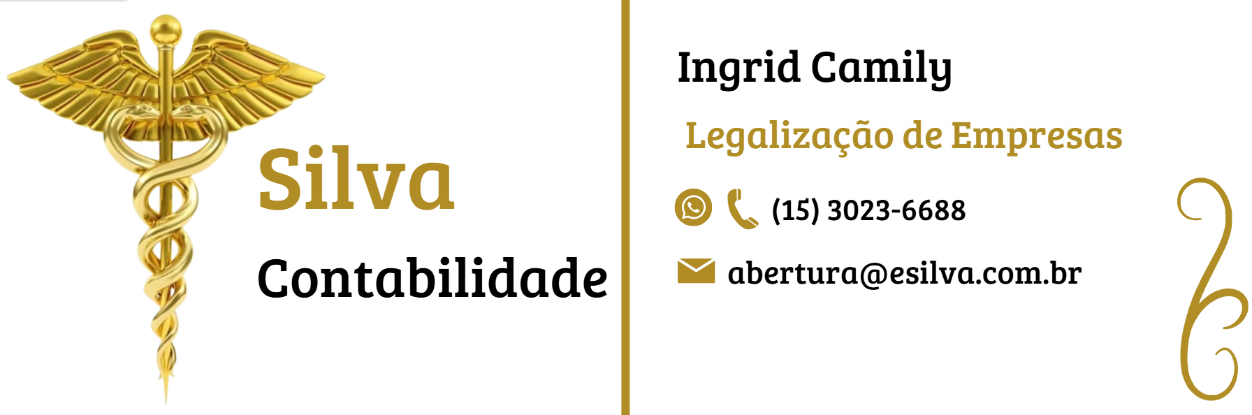 Silva Contabilidade com símbolo dourado
